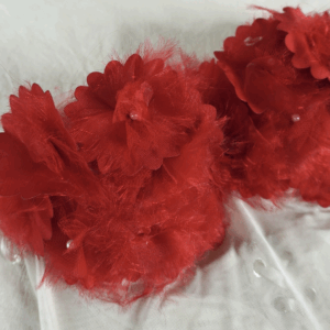 Body Zócalo: imagen 4